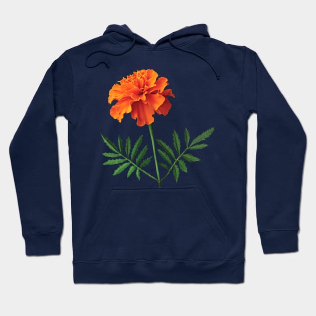 Marigolds - Orange Marigold Hoodie by SusanSavad